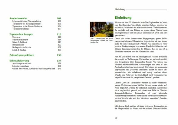 topinambur-buch-praxiswissen-fuer-anbau-und-verwendung-ansicht-5
